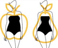 The Real Story of Belly Fat