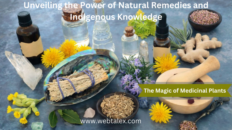 An image showcasing Natural Ingredients for Holistic well being.