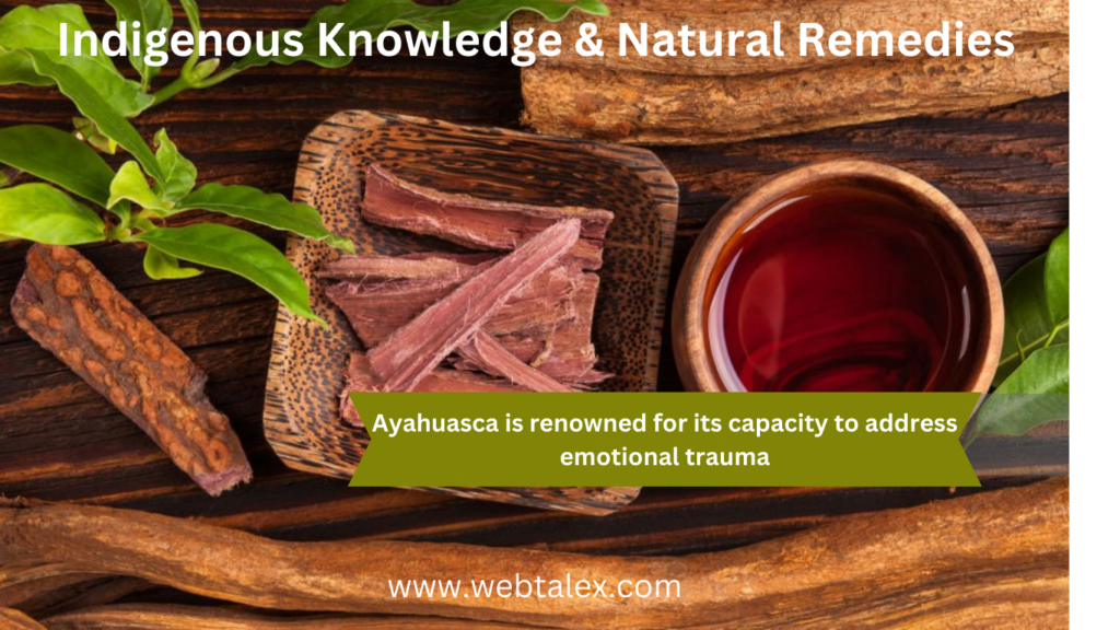 A background image showcasing the profound impact of Indigenous knowledge on holistic well-being.