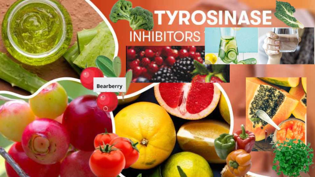 Various foods and fruits known for their tyrosinase inhibiting properties.