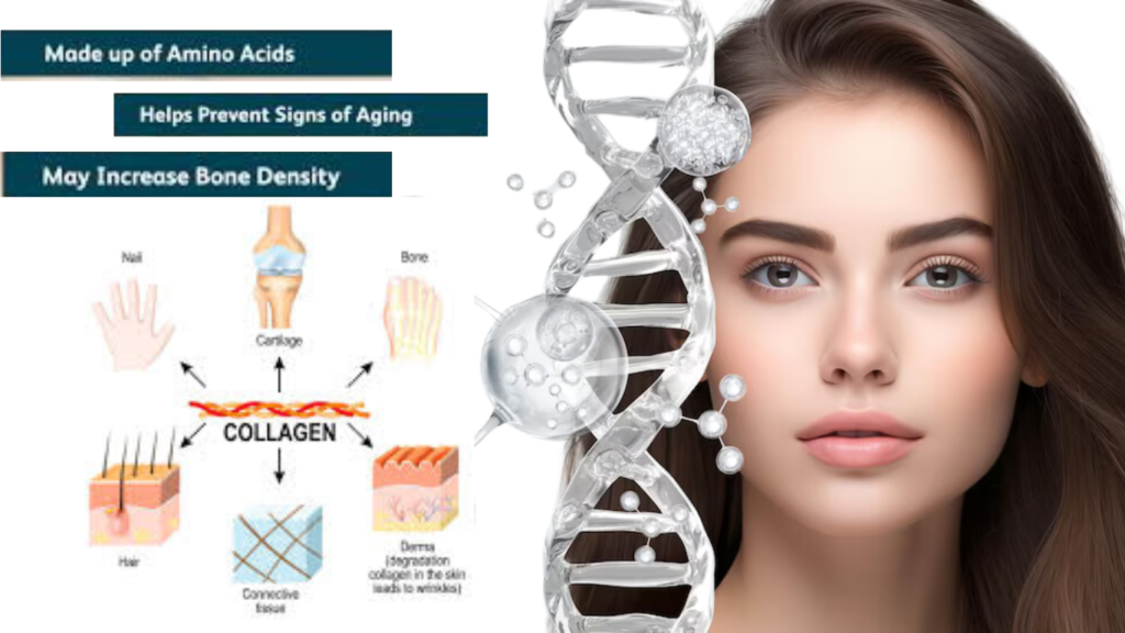 A beautiful girl next to a collagen process diagram with highlighted benefits of collagen.
